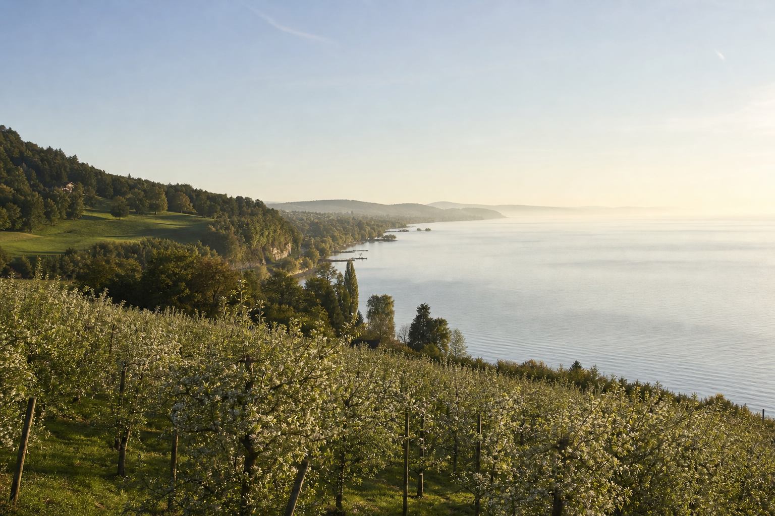 Bodensee mit weitem Horizont
